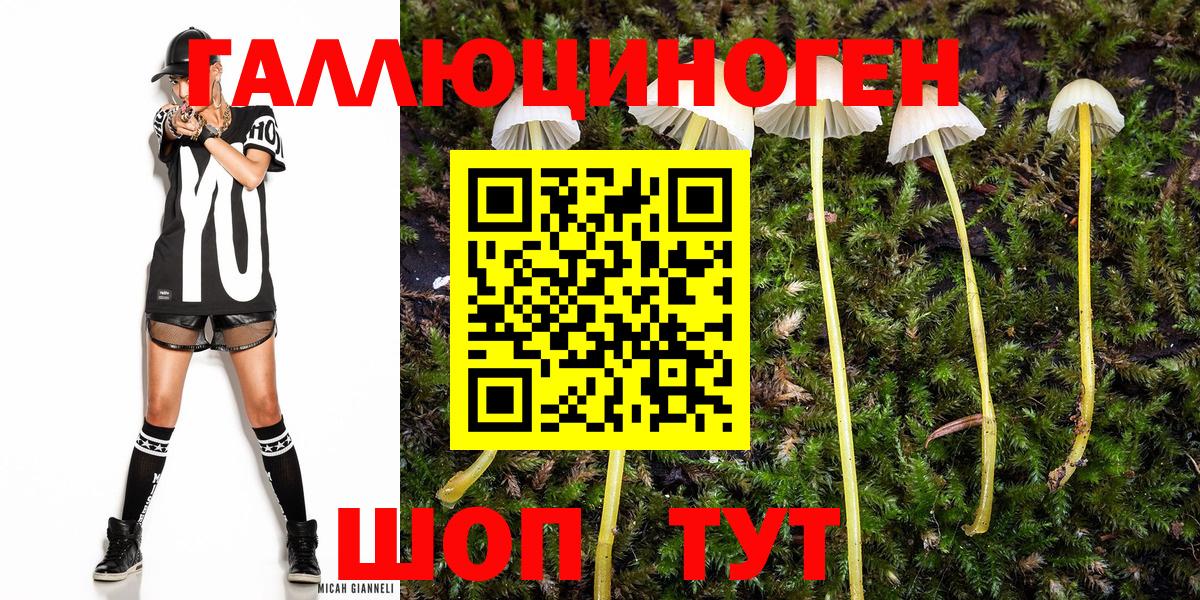 Галлюциногенные грибы GOLDEN TEACHER  Вход с VPN  Воткинск  цена   Псилоцибиновые грибы ЛСД 