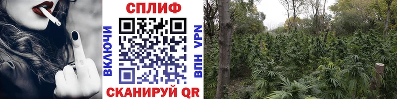 даркнет как зайти  Воткинск  Конопля индика 